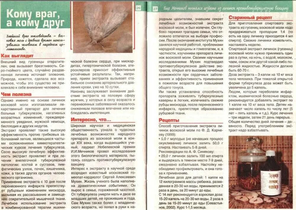 Как принимать пчелиную настойку