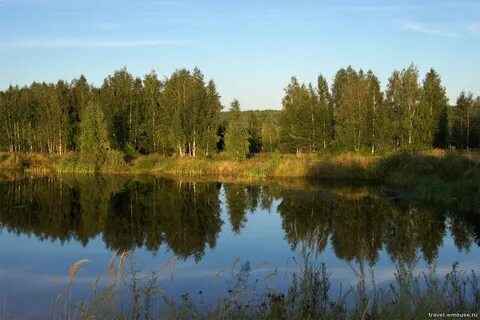 Губино орехово зуевский