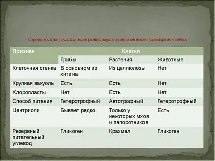Строение клеток организмов разных царств таблица
