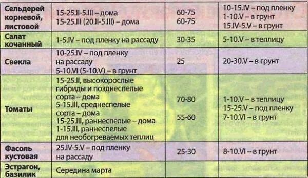 Сибирь посадка томатов на рассаду. Сроки посадки рассады томата в открытый грунт. Сроки высадки семян томатов на рассаду. Сроки рассады для высадки в грунт. Дата высадки рассады в открытый грунт.