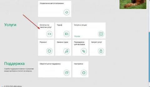 Как узнать остаток пакета интернета