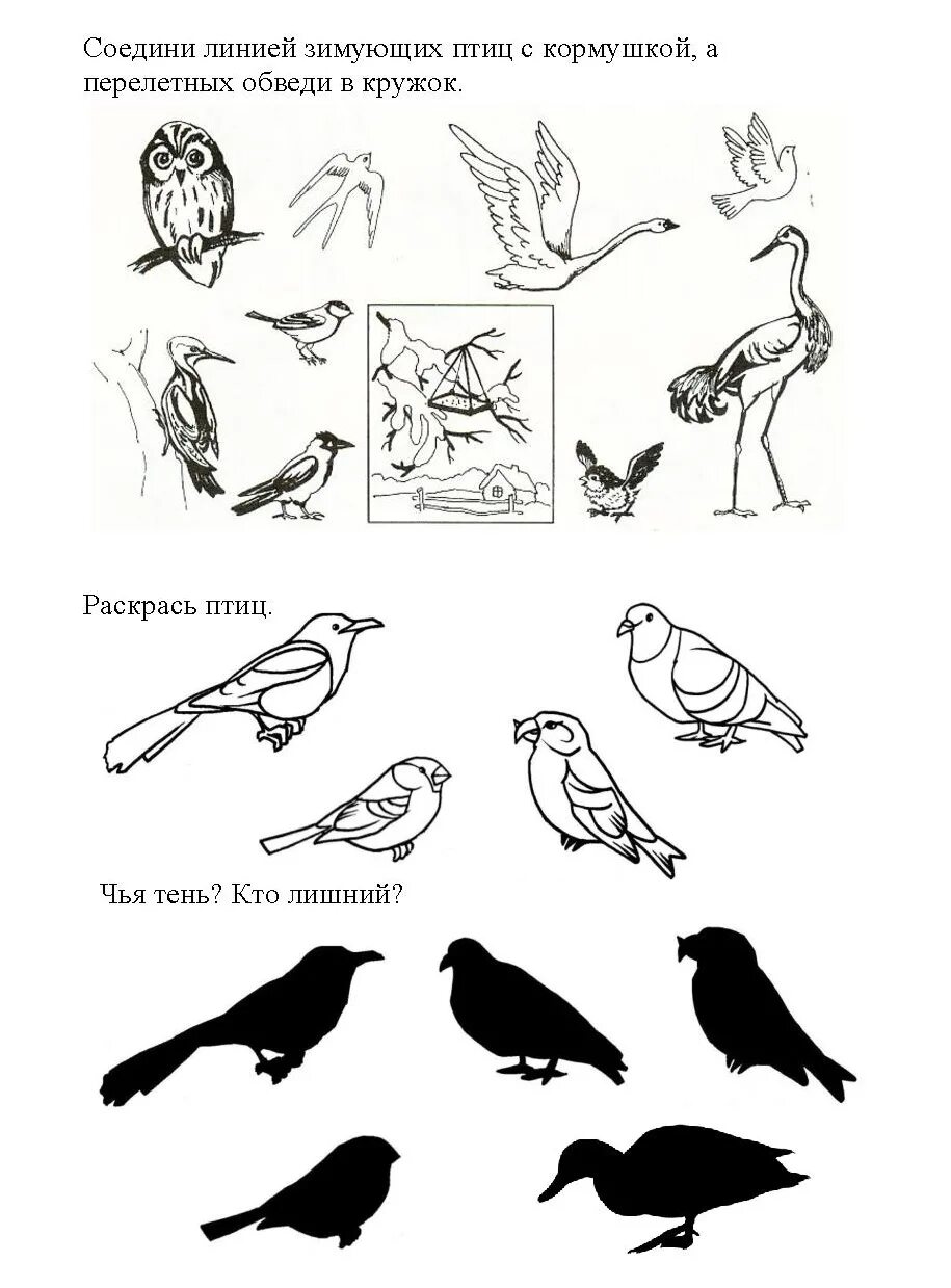 Задания про птиц. Зимующие птицы задания логопеда. Перелетные птицы задания для дошкольников. Задания для малышей зимующие и перелетные птицы. Лексическая тема перелетные птицы задания.
