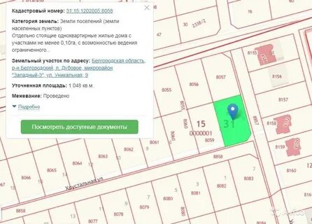 Объявление дубовое