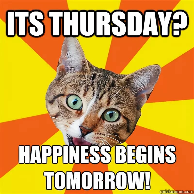 Happy begin. Happiness begins. четверг мем. its a thursday песня. today thursday мем.