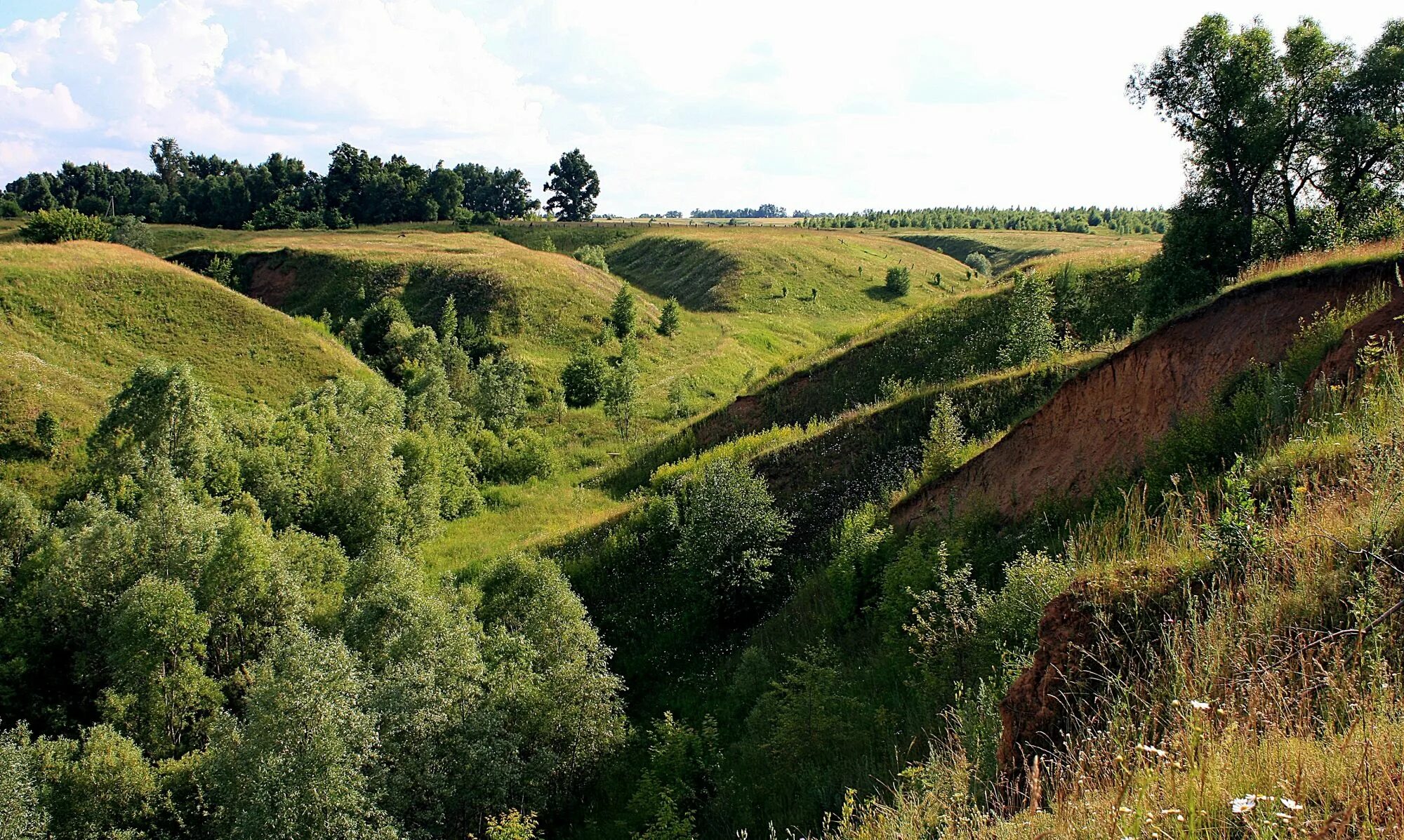 Ложбина и лощина. Овражно-балочный рельеф белгородской области. Промоина овраг балка. Холмы равнины овраги пензы. Склон чарду чувашия.