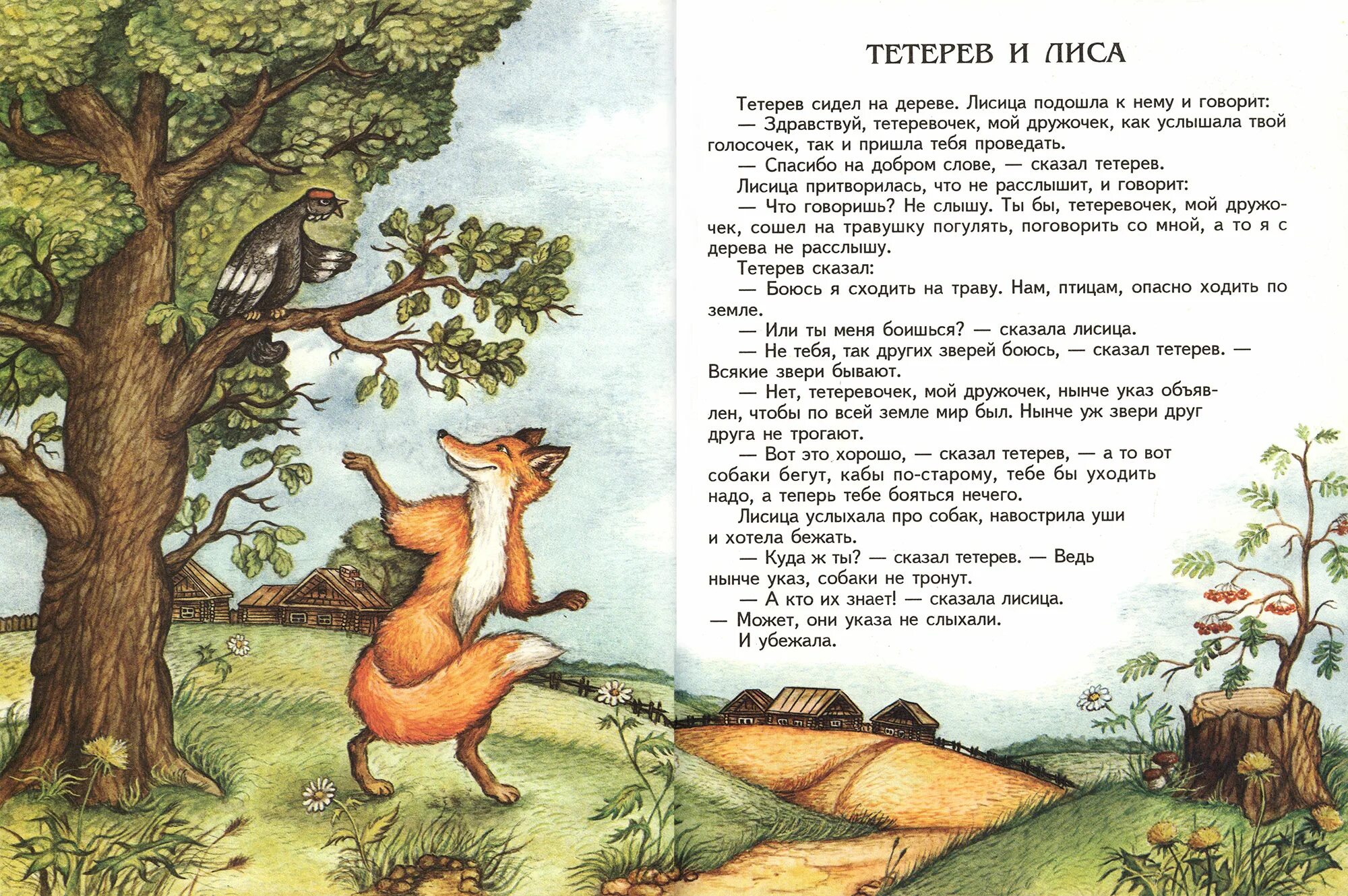 Лиса и тетерев ответить на вопросы. Тетерев и лисица басня. народная сказка лиса и тетерев. рассказ лиса и тетерев.