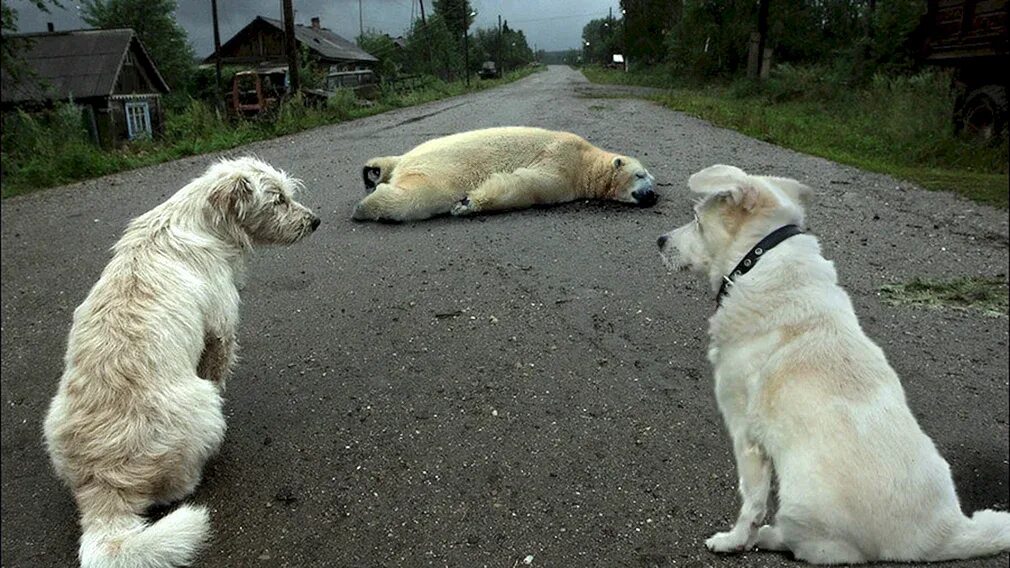 Притвориться дверь