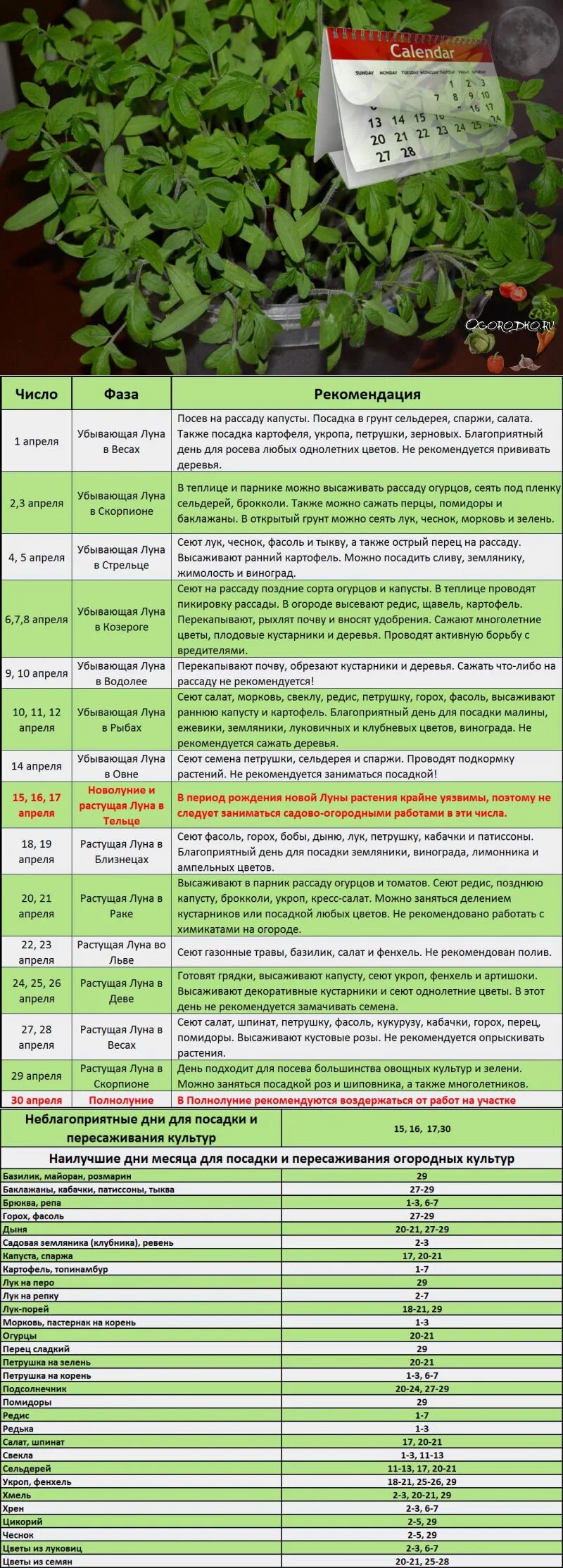 Лунный календарь на апрель для посева рассады. Благоприятные дни для посадки. благоприятные дни для высадки рассады в теплицу. календарь посева рассады. благоприятные дни для посадки капусты.
