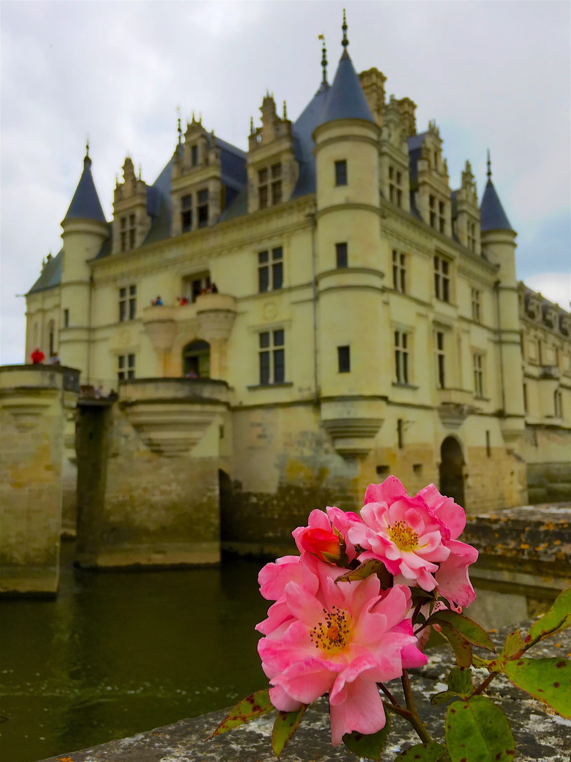 Замок Бель Флер Франция. Замок Шато Эркен. Замок с цветами.
