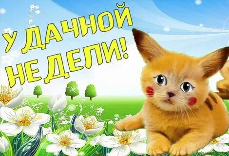 Картинки с весенним днем понедельник
