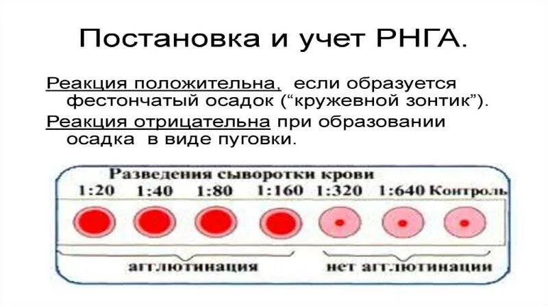 Серологическая реакция реакция Вассермана. Тип реакции Вассермана. Реакция Вассермана презентация.