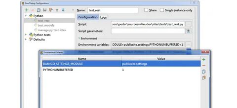 Python set environment variable