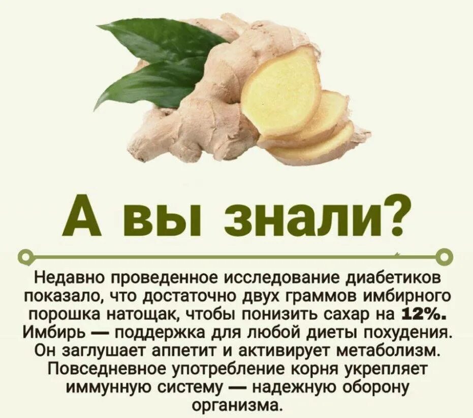 Как пить корень имбиря. Имбирь. корень имбиря полезные. для чего полезен имбирь. чем полезен имбирь для организма.