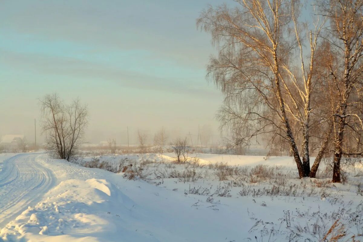 Зимнее утро фото. Пейзаж зимнее утро. Фото к стихотворению Пушкина зимнее утро. Зимнее утро Winter название.