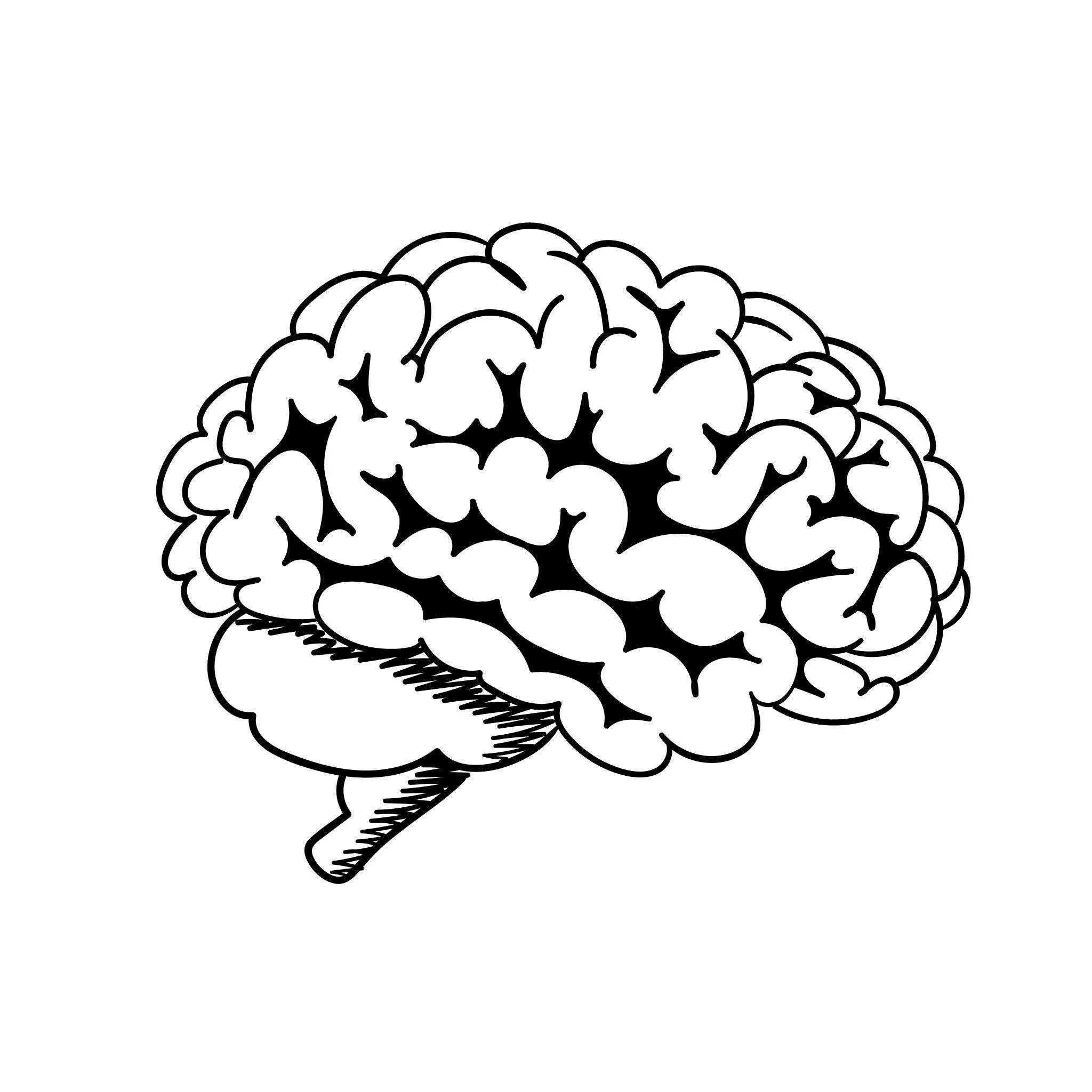 Мозг рисунок. Мозг для срисовки. Мозги мультяшные. Поэтапное рисование мозга. Рисунок мозга легко