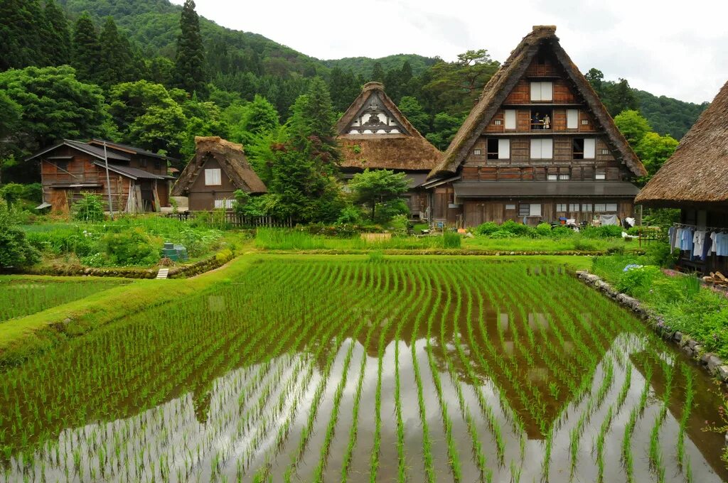 Японская деревня видео. Сиракава-го деревня. японская деревня сиракава. гассё-дзукури гокаяма. сиракава-го и гокаяма.