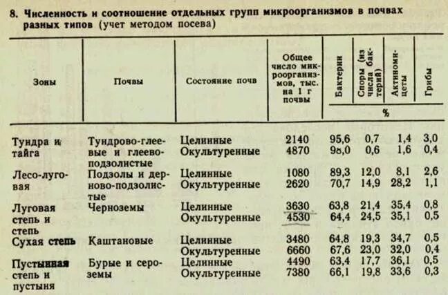 К какой группе относятся микроорганизмы в почве. Микроорганизмы различных видов почвы. Общее количество микроорганизмов. Количество микроорганизмов в почве. Микрофлора почвы таблица.