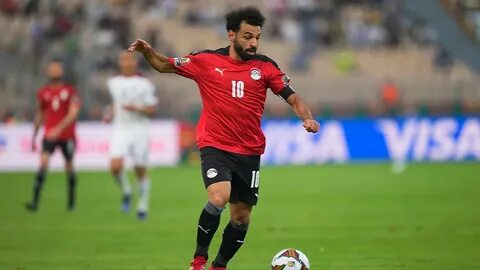 Egyptian live