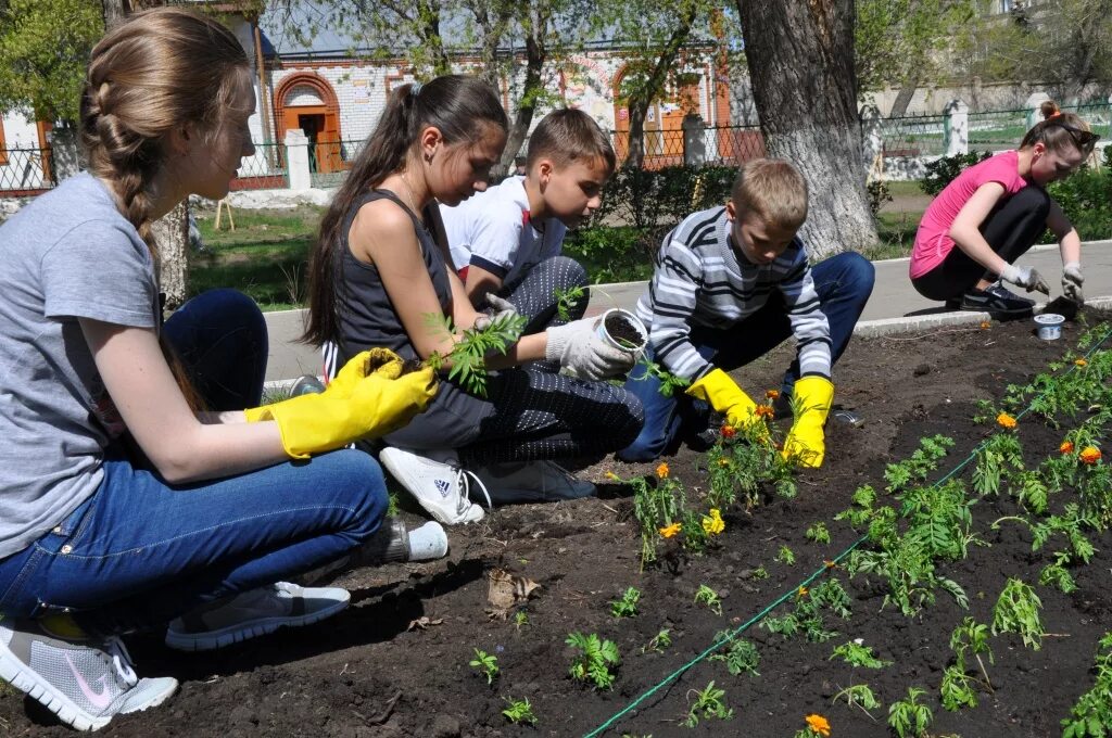 Будет ли школа в мае. Клумба для школьнику. Школьники высаживают цветы. Дети возле школы. Ученики на улице.