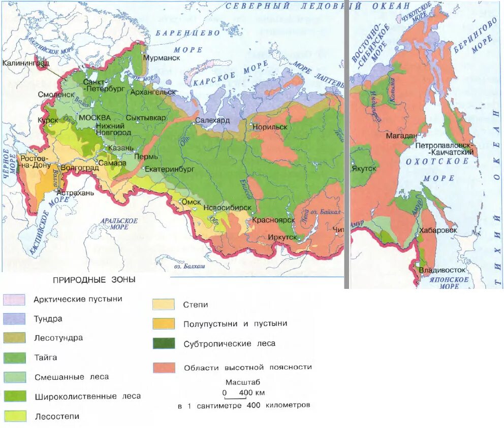 Какой тип растительности расположен к северу