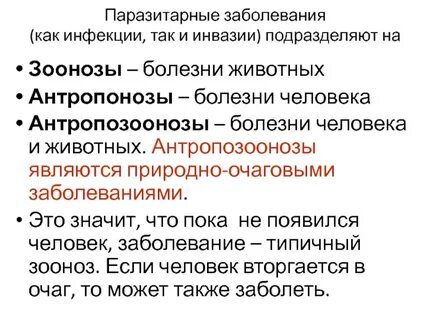 Что такое зоонозные заболевания как передаются