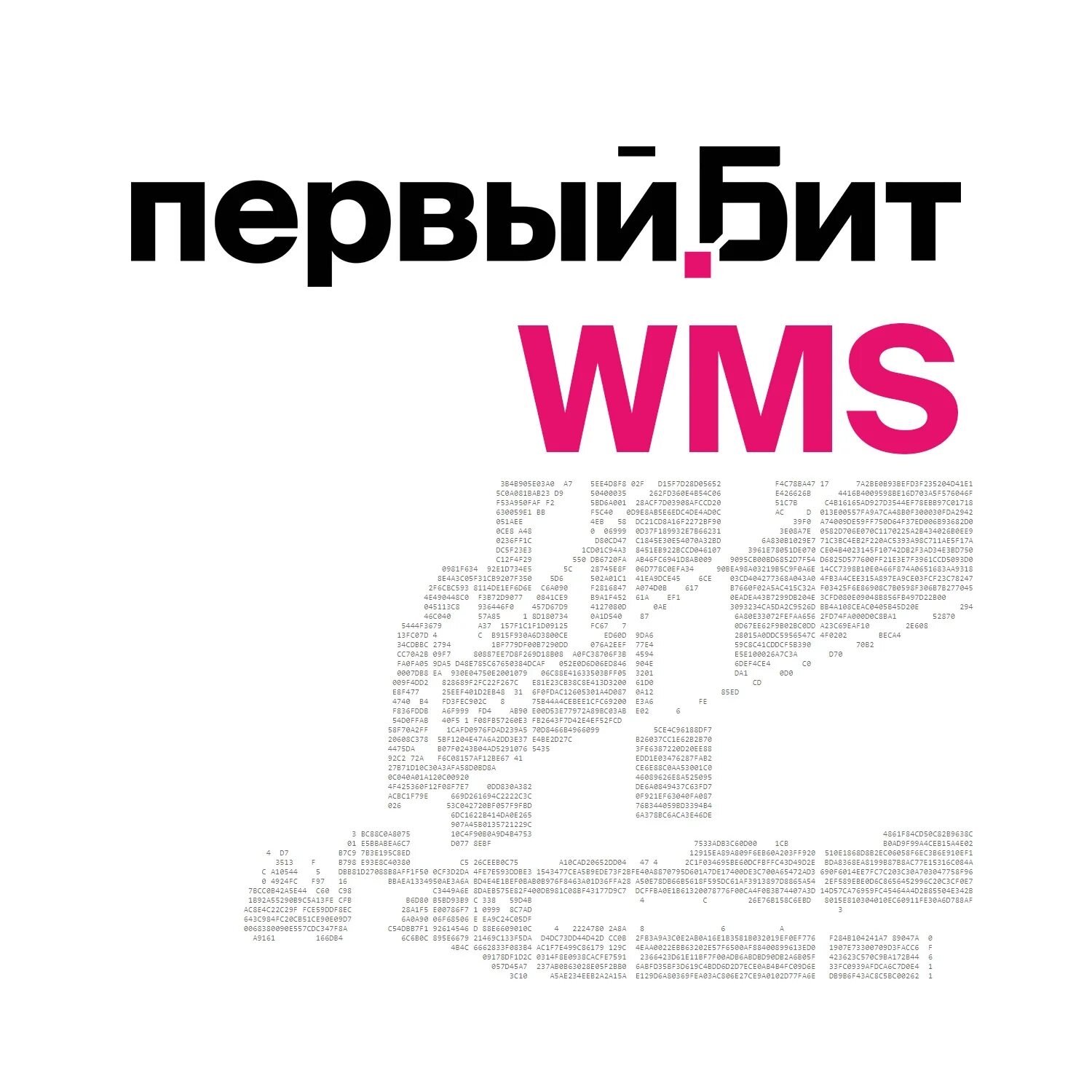 1бит