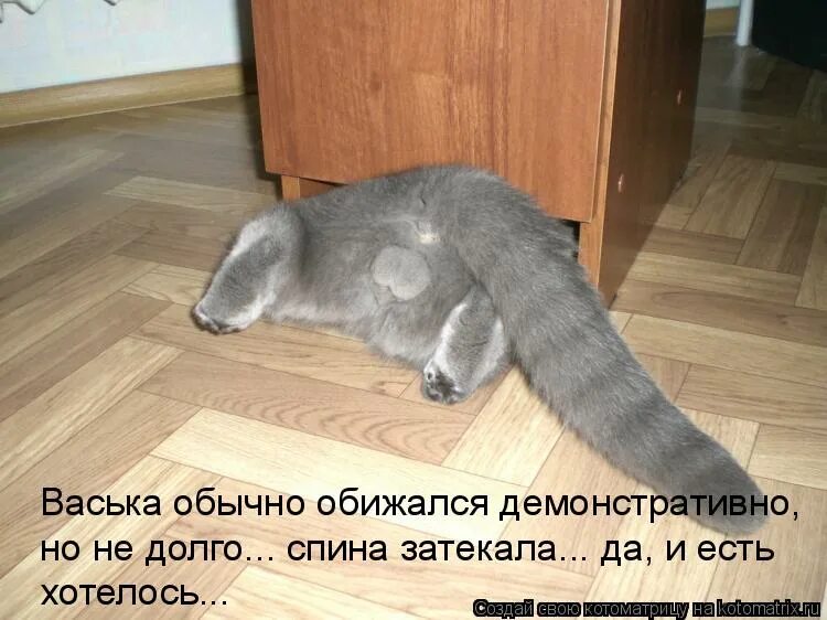 где смешная картинка. ужасно хочется есть так немножко прошелся думал. мы тебя небольно зарежем. иван александрович хлестаков таблица. друзья которые защищают твое имя.