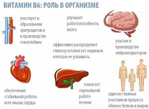 Витамин в его роль в организме. Витамин в его роль в организме. Пантотеновая кислота функции в организме человека. Витамин в6 роль в организме. Витамин b12 биологическая роль.