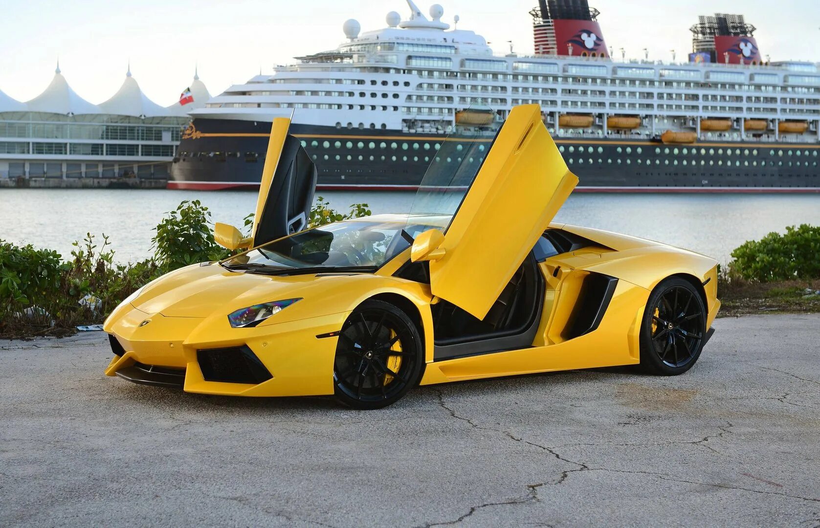 Желтый ламборджини. Ламборджини авентадор желтый. lamborghini aventador желтый. ламборджини флорида. lamborghini aventador j желтый.
