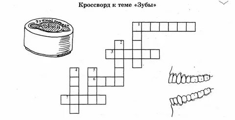 Беззубый младенец кроссворд