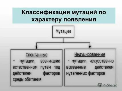 Виды мутаций и причины их возникновения