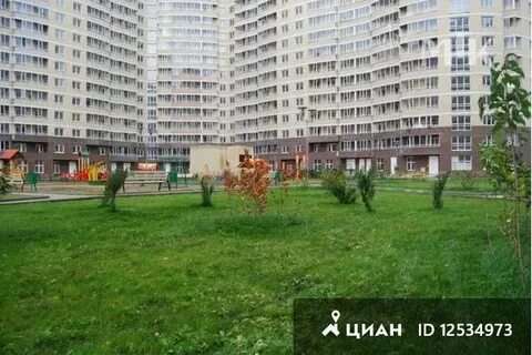 Индекс покрышкина 8
