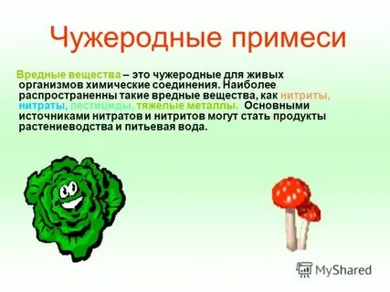 Чужеродное химическое вещество