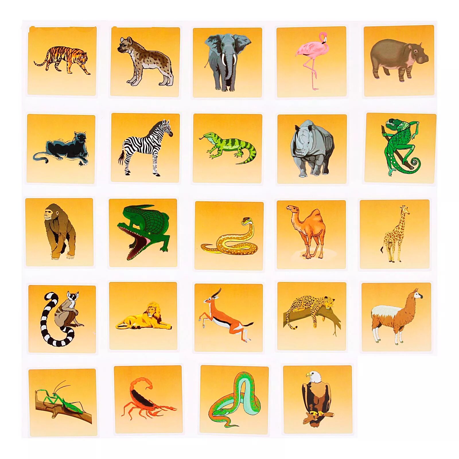 Карточка обитатели. Игры лото животные Африки. Животные для крокодила для детей. Карточки с животными Африки. Животные Африки для детей.