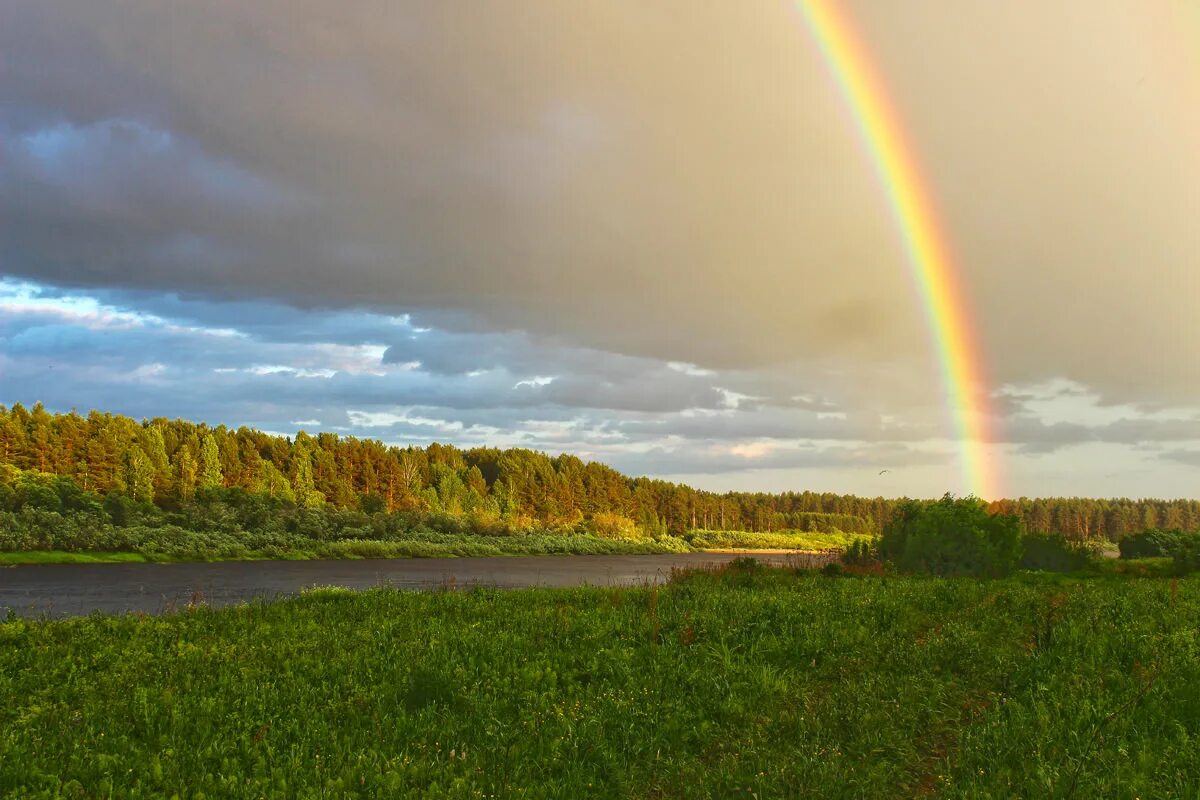 Солнце сквозь листву. Облака с лучами солнца. Солнце выглянет сегодня. Солнце выглянет сегодня. Солнце весной.
