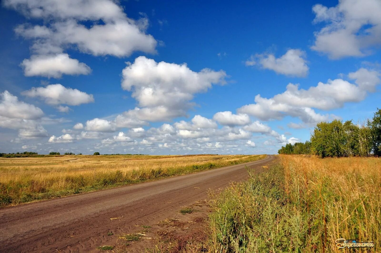 Село просторе. Деревня природа Проселочная дорога. Сельская Проселочная дорога. Омская область природа Куликово. Ливенская большая Проселочная дорога.