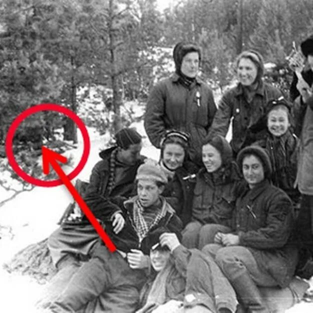 неизвестный солдат поисковый отряд. первые поисковики в ссср. история последних поисков. история последних поисков. как посмотреть историю в яндексе.