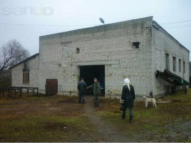 Р дубровки погода. Р дубровки погода. Поселок дубровка челябинская область. Пожар в дубровке брянская область. Р дубровки погода.