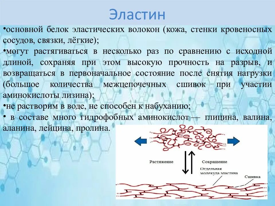 Эластин. Эластичные волокна кожи. Из чего состоит эластин. Эластин структура.