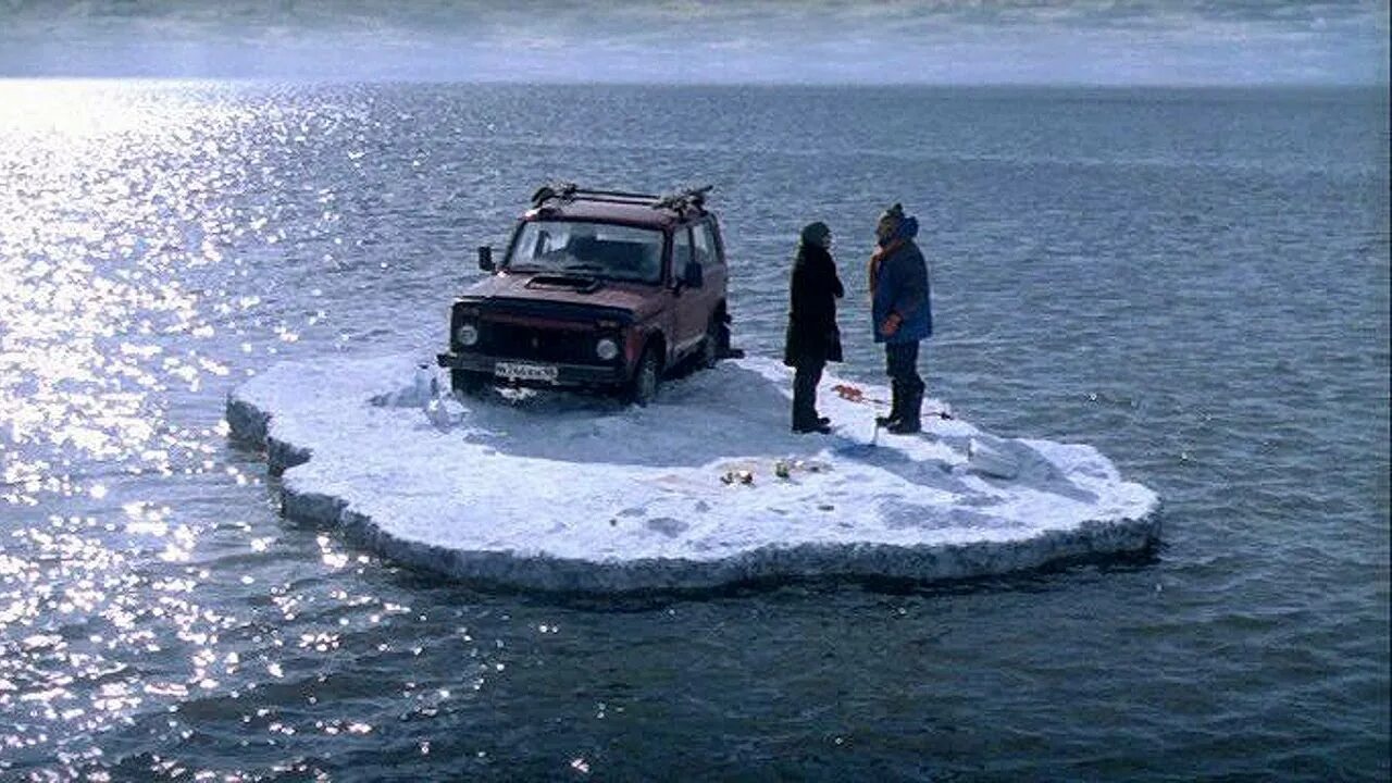 Свободно дрейфуют в воде