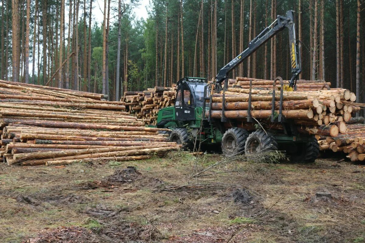 Химико лесная промышленность урала. Лесной комплекс архангельской области. Лесопромышленный комплекс иркутской области. Лесная промышленность хмао югры. Лесопромышленный комплекс древесина.