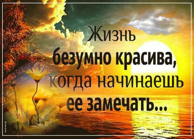 Открытки жизнь прекрасна. Высказывания жизнь прекрасна и удивительна. Жизнь прекрасна и удивительна. Жизнь бнзумна красива когоп ничанаешь ее замечать. Замечать жизнь была замечательной.