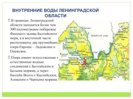 Основные сведения о поверхности санкт петербурга