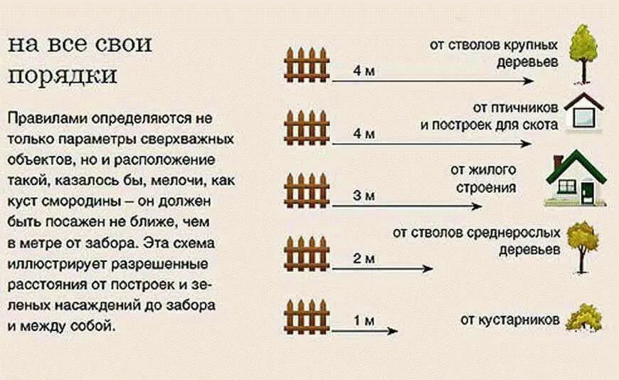 Расстояния от дома до другого дома. Нормативы по высоте забора между земельными участками. Посадка деревьев от забора соседей нормативы. Нормы высоты забора частного дома. Посадка малины расстояние от забора соседа.