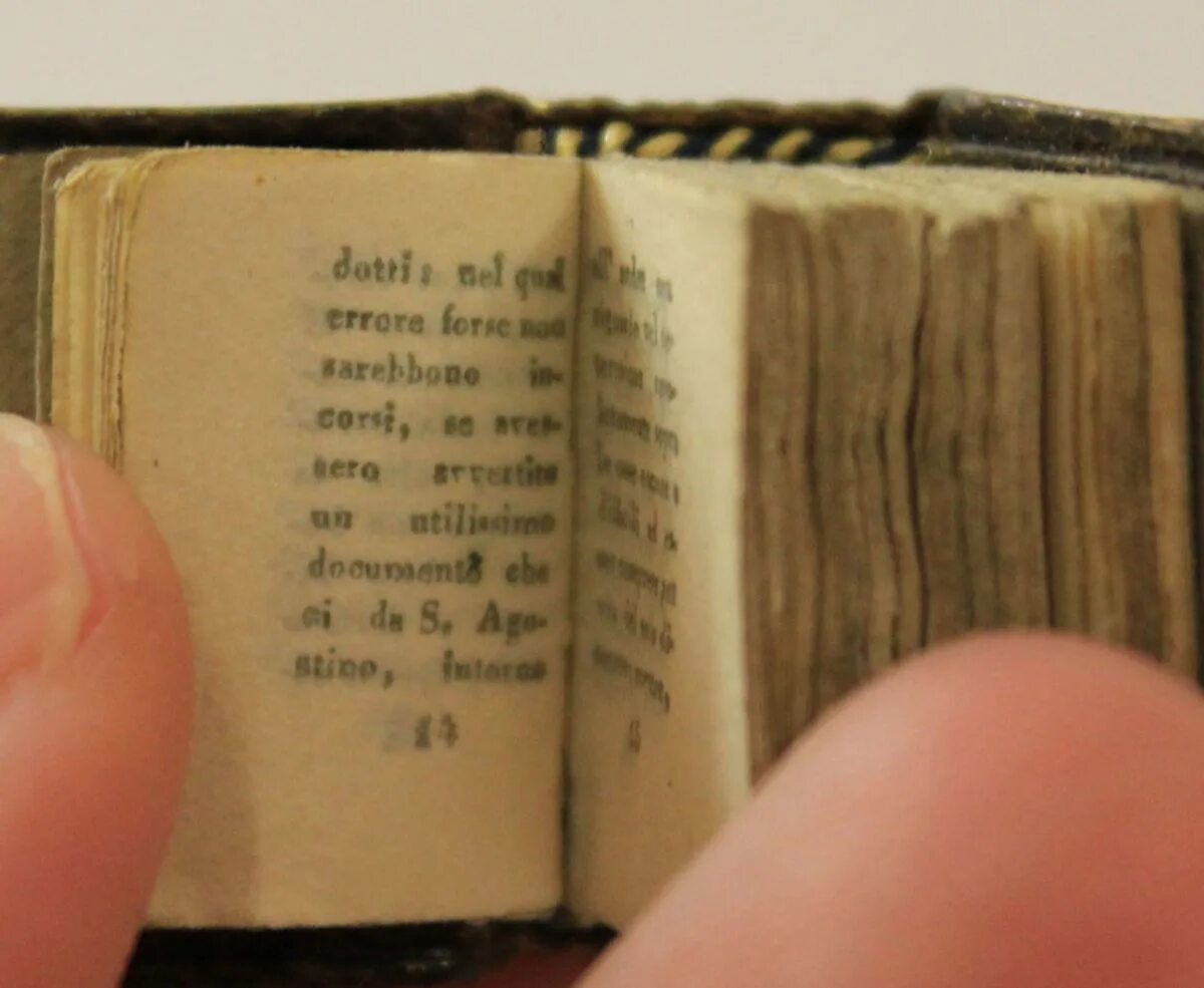 Самая миниатюрная книга в мире. Самая миниатюрная книга. Самая маленькая книга письмо Галилео Галилея. Книга метка. Miniature private anonymous