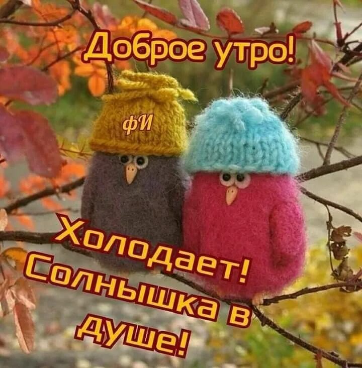 Шутки про холод летом. Осень одевайся теплее. Смешные про холодное лето. Снег скоро лето. Лето прошло.