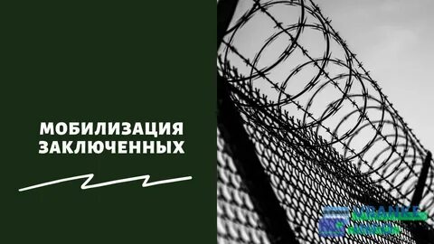 Мобилизованные заключают