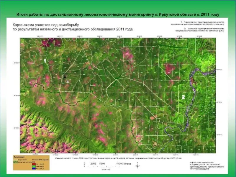 Мониторинг хмао. Государственный лесопатологический мониторинг. Дистанционный лесопатологический мониторинг. Лесопатологический мониторинг презентация. 3. Лесопатологический мониторинг.