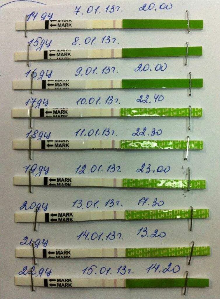 Днем делают тест. Как понять что тест на овуляцию положительный. Тест на овуляцию. Овуляция по тестам. Овуляция тесты на овуляцию.