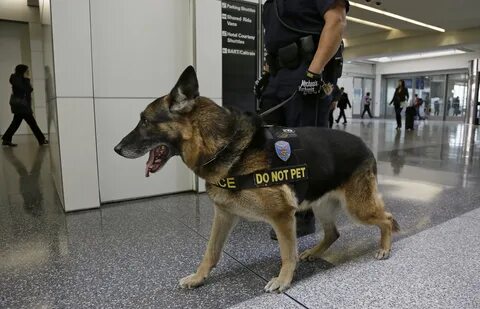 Up security